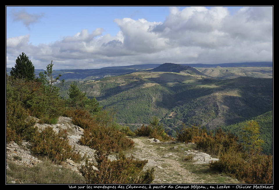 Vue sur les montagnes des Cévennes 