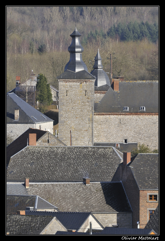 Falaën : toits du village et du château-ferme