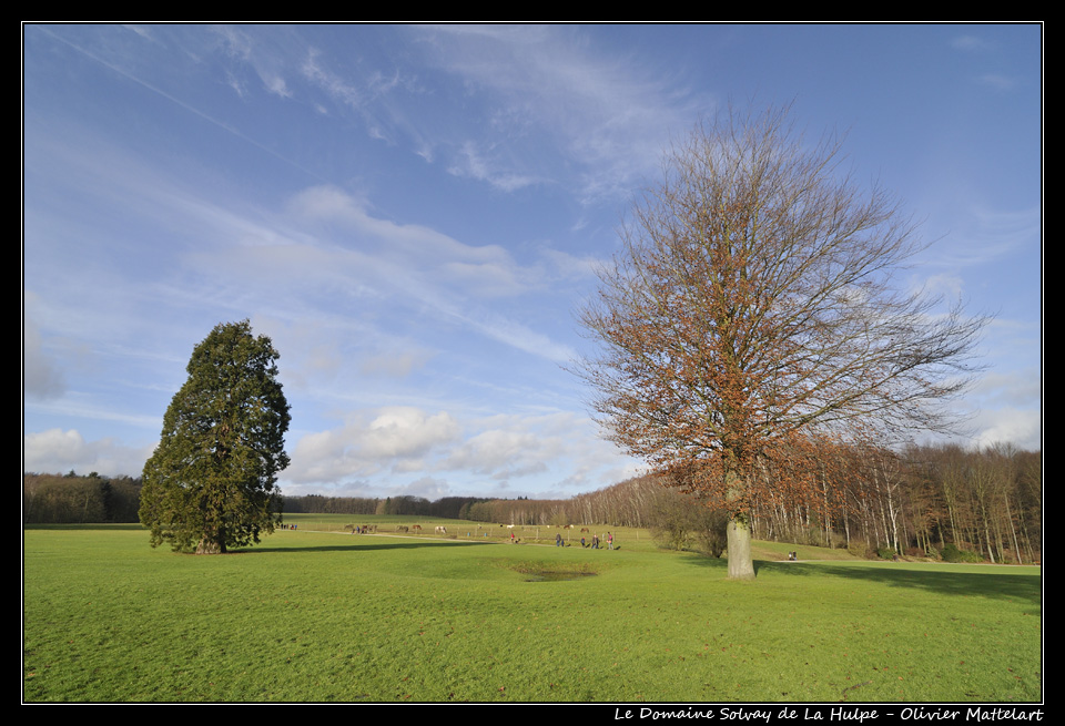 Le Domaine Solvay de La Hulpe