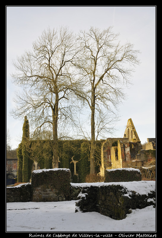 Abbaye de Villers-la-ville