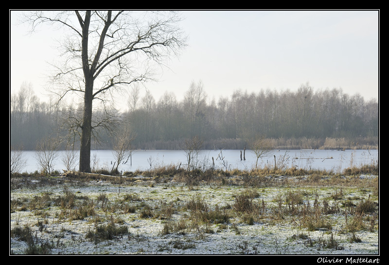 Marais de Harchies