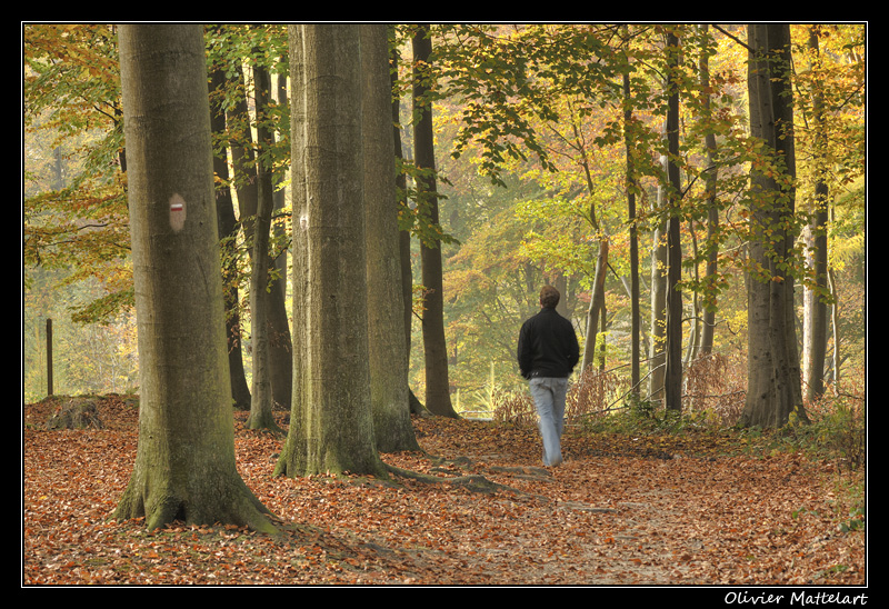 Promeneur solitaire