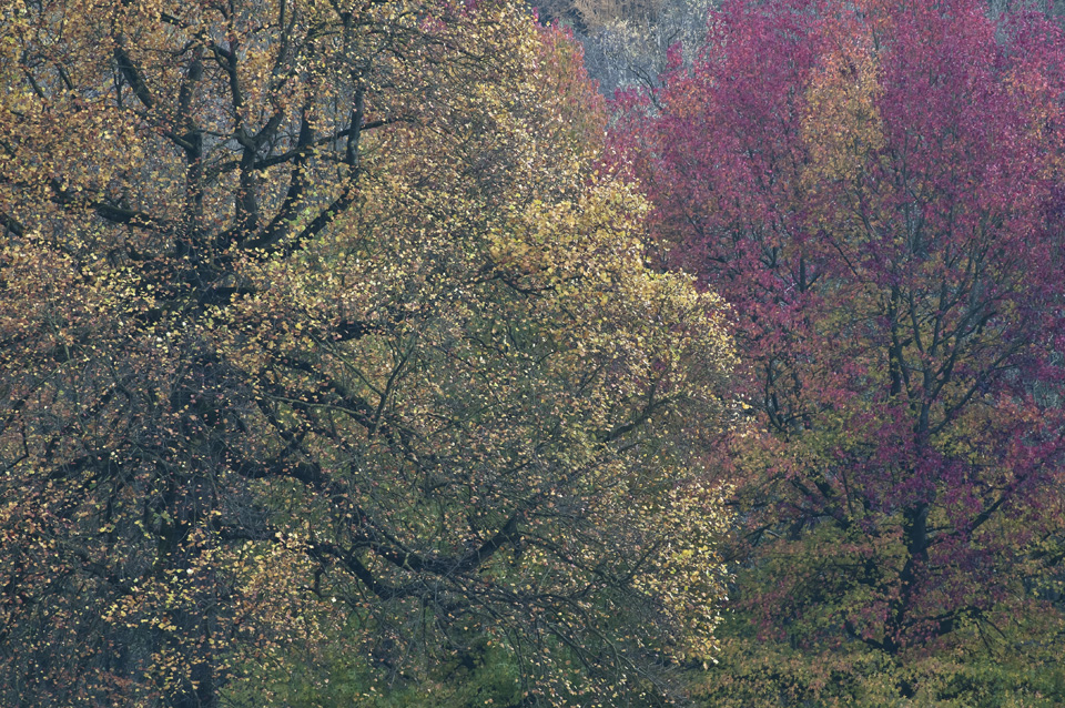 Parc Solvay à La Hulpe