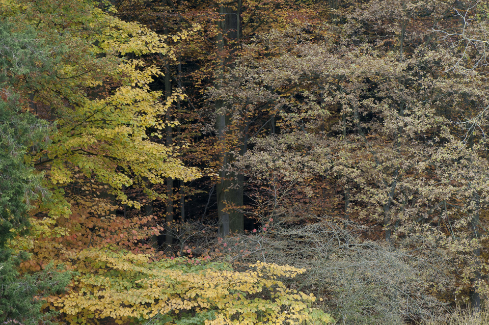 Parc Solvay à La Hulpe