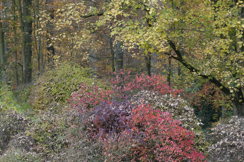 Parc Solvay à La Hulpe