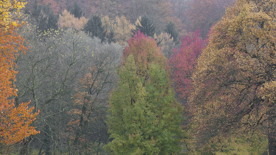 Parc Solvay à La Hulpe