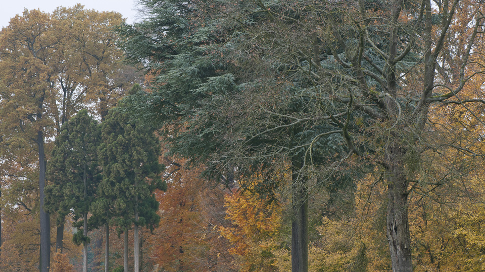 Parc Solvay à La Hulpe